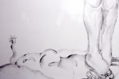 Detail, Uncomfortable Position, 2005, conte on wall, wall drawing installation, El Centro College Gallery, 15’ x 10’