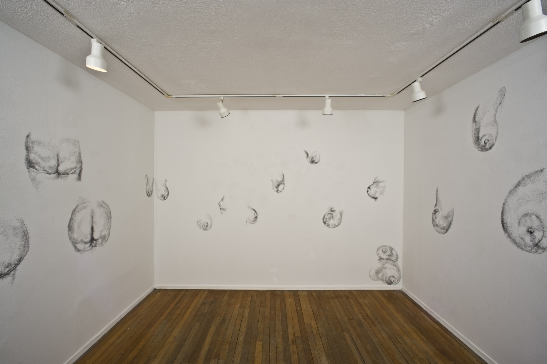 2Kool-2B-4Gotten, 2010, conte on wall, wall drawing installation, Gallery 414, Fort Worth, Texas, three walls in room