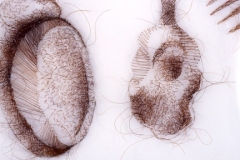 Two, 2004, hand-sewn human hair on mylar, 5” x 7”